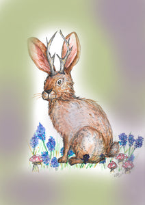 Greeting Cards (pack of 5) - Hill Country Jackalope
